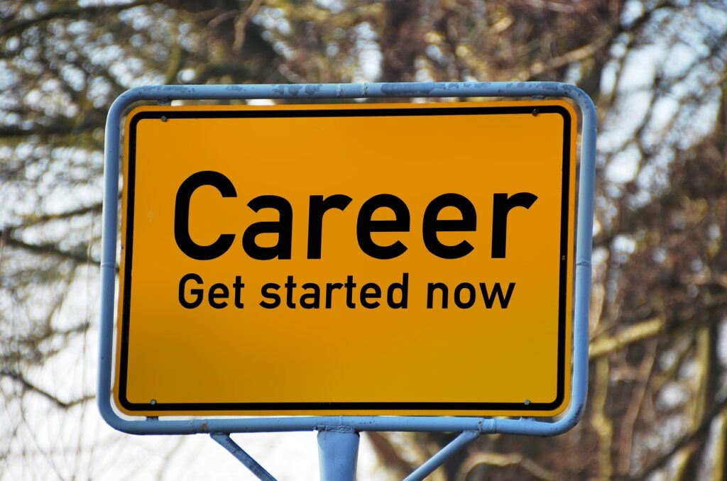 Computer technologist career